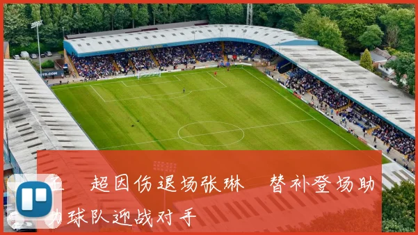 王燊超因伤退场张琳芃替补登场助力球队迎战对手